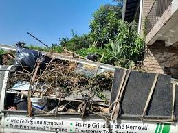 Best Residential Junk Removal  in Vega, TX