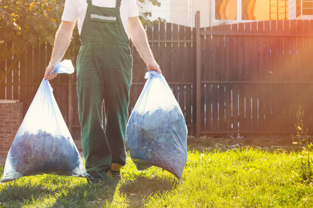 Best Shed Removal  in Vega, TX